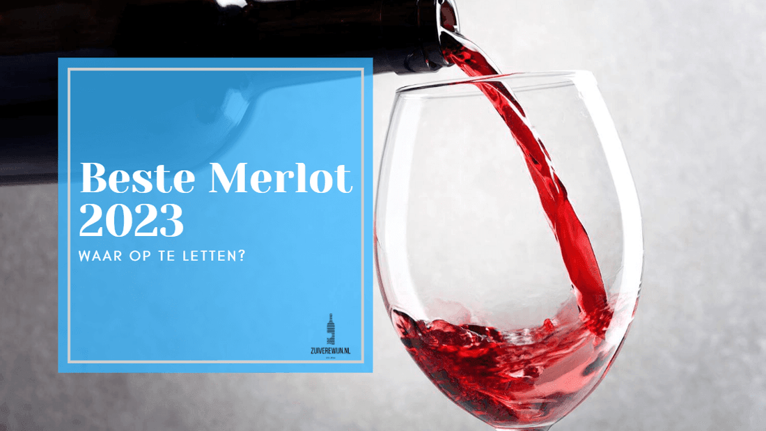 Merlot: De veelzijdige druif voor een breed scala aan verfijnde wijnen - Zuiverewijn